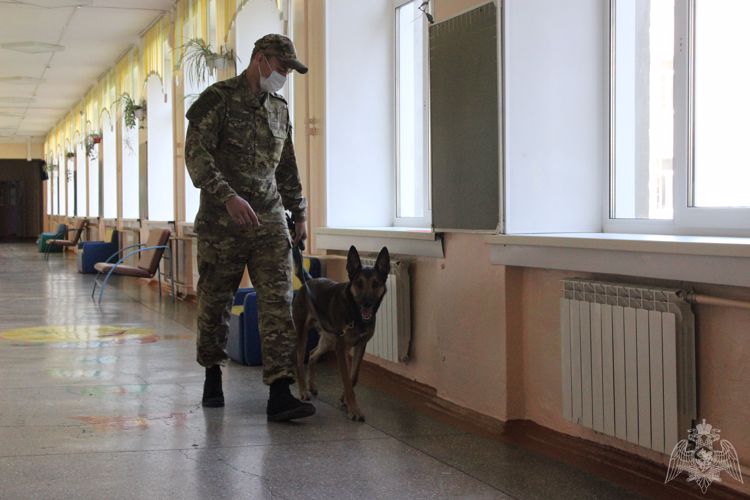 Сотрудники и военнослужащие Росгвардии обеспечили безопасность выборов в Новосибирске