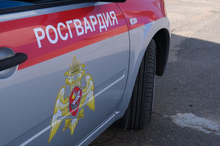 Сотрудники вневедомственной охраны задержали подозреваемого в угоне автомобиля