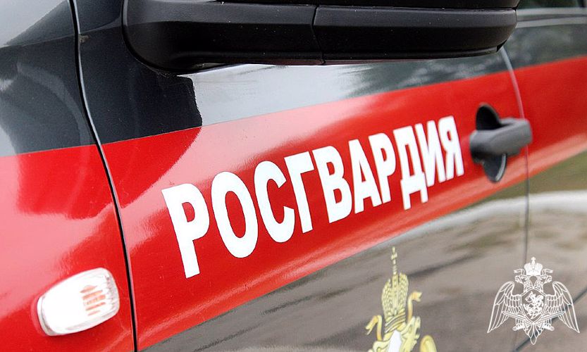 В Новосибирске сотрудники вневедомственной охраны Росгвардии задержали подозреваемого в угоне