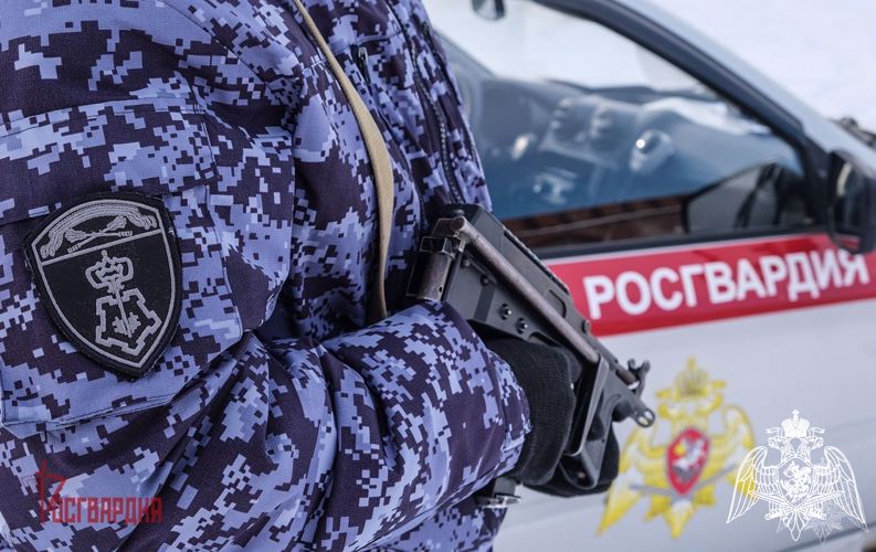 Патруль вневедомственной охраны предотвратил кражу с припаркованного грузовика