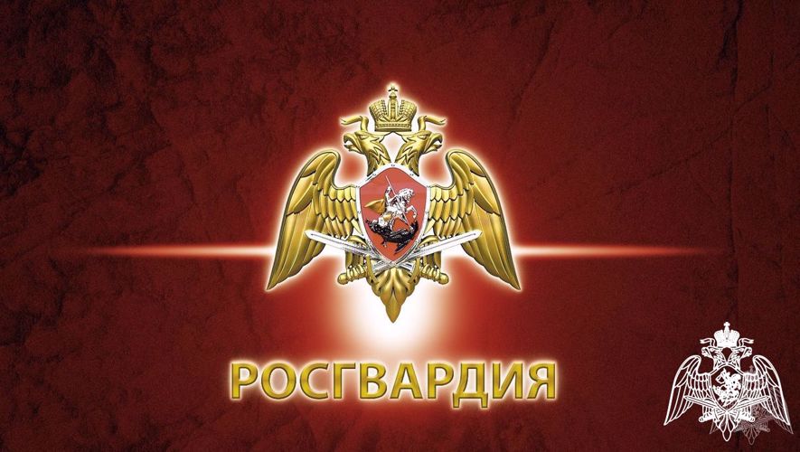 Служба в Донецкой Народной Республике (видео)