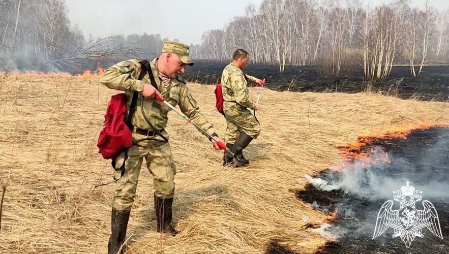 В Новосибирской области росгвардейцы остановили мощный пал травы, направляющийся к жилым домам 