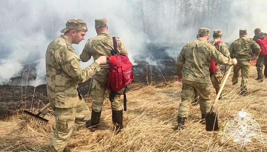 В Новосибирской области росгвардейцы остановили мощный пал травы, направляющийся к жилым домам 