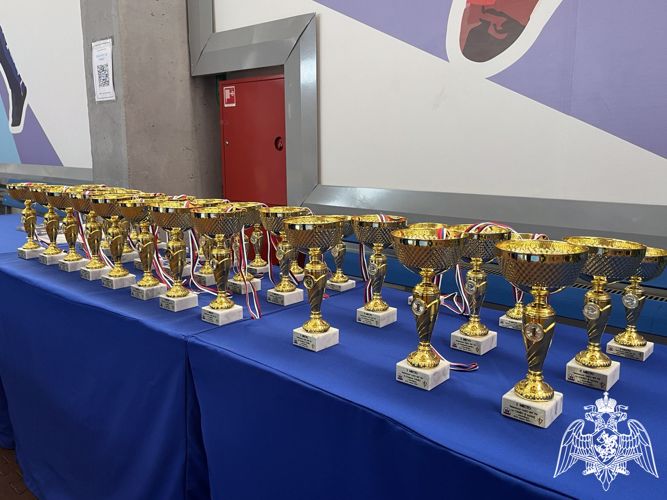 Чемпионат Сибирского округа Росгвардии по самбо завершился в Новосибирске