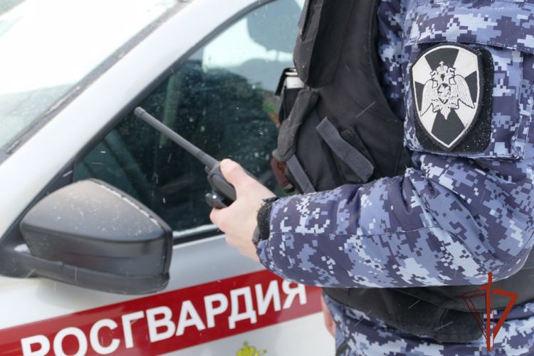 Экипажем вневедомственной охраны Росгвардии задержан подозреваемый в угоне автомобиля