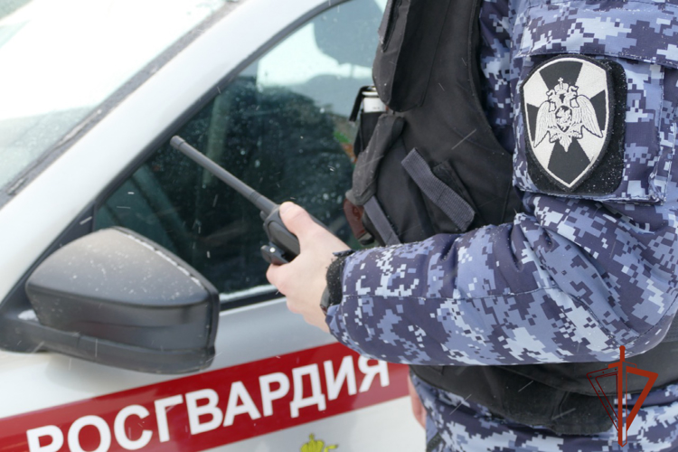 Сотрудники вневедомственной охраны Росгвардии задержали подозреваемого в совершении грабежа