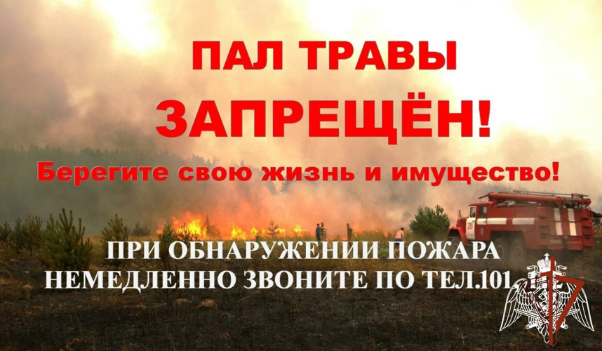 Росгвардия напоминает основные требования безопасности в весенне-летний пожароопасный период