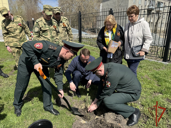 Новосибирские Росгвардейцы посадили сосну из Крыма в знак дружбы между регионами