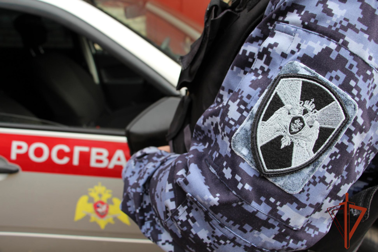 В Новосибирской области при содействии сотрудников Росгвардии задержан подозреваемый в покушении на убийство в поезде 