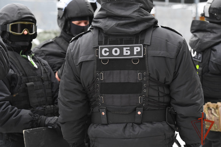В Новосибирске сотрудниками СОБР Росгвардии задержаны подозреваемые в культивировании конопли