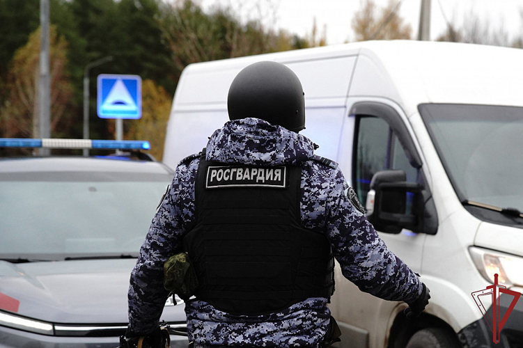 Экипаж Росгвардии задержал подозреваемого в серии краж
