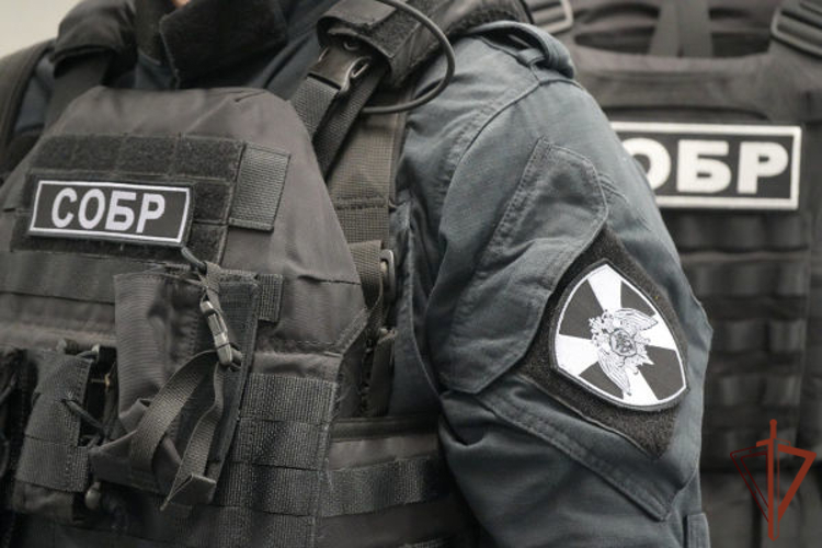 В Новосибирске при силовой поддержке офицеров СОБР Росгвардии были задержаны подозреваемые в организации незаконной миграции