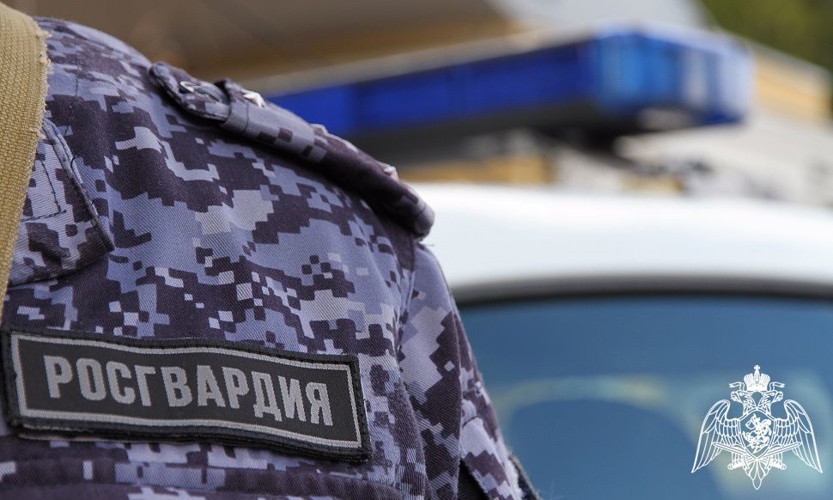 Патруль вневедомственной охраны Росгвардии задержал подозреваемого в грабеже