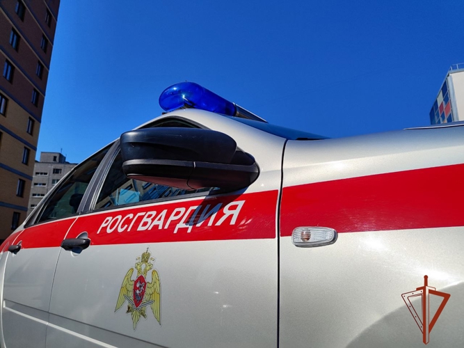 В Новосибирске экипажами Росгвардии задержаны двое новосибирцев за кражи из супермаркетов