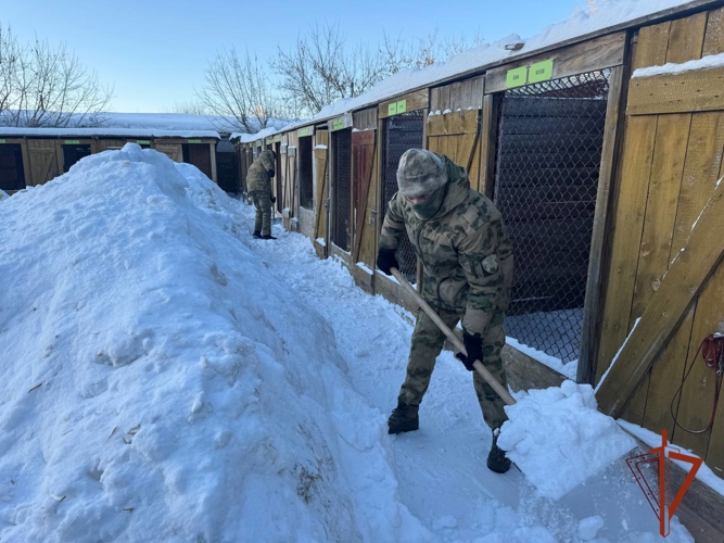Помощь приюту для бездомных животных оказали сотрудники и военнослужащие Росгвардии в Новосибирске 