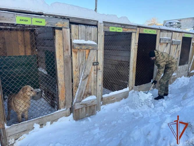 Помощь приюту для бездомных животных оказали сотрудники и военнослужащие Росгвардии в Новосибирске 