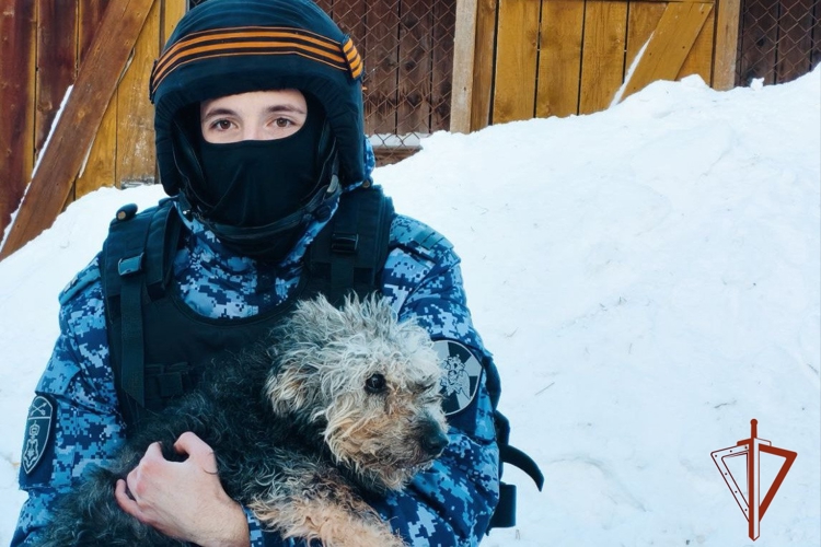 Помощь приюту для бездомных животных оказали сотрудники и военнослужащие Росгвардии в Новосибирске 