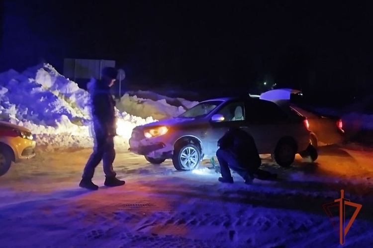 В наукограде Кольцово Новосибирской области росгвардейцы оказали помощь автомобилисту