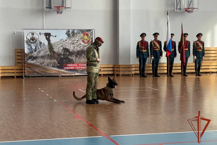 В Новосибирске прошёл Фестиваль единоборств памяти бойцов спецназа Росгвардии «Ермак»