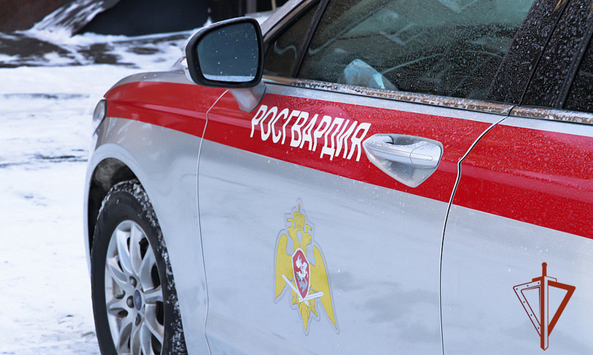 Экипажем Росгвардии задержан мужчина, повредивший припаркованный автомобиль