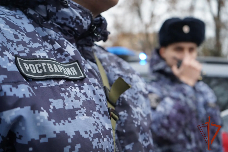 Экипажем вневедомственной охраны Росгвардии пресечена кража противопожарного оборудования