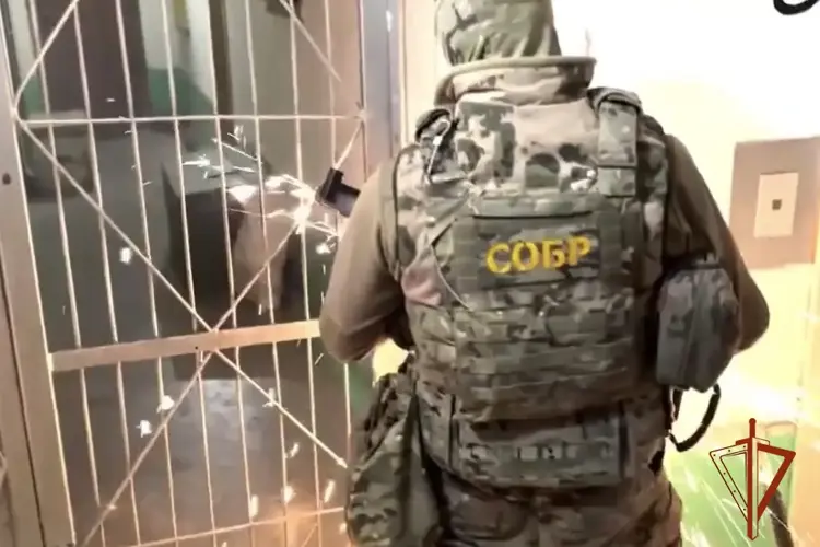 В Сибири при содействии спецназа Росгвардии пресечена деятельность лиц, занимавшихся незаконным использованием сим-боксов 