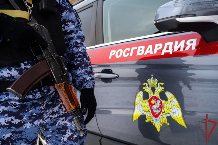 В Новосибирске экипаж вневедомственной охраны Росгвардии задержал подозреваемого в серии краж