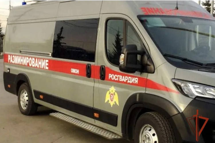 В Новосибирской области взрывотехники ОМОН Росгвардии уничтожили боеприпас времен Великой Отечественной войны