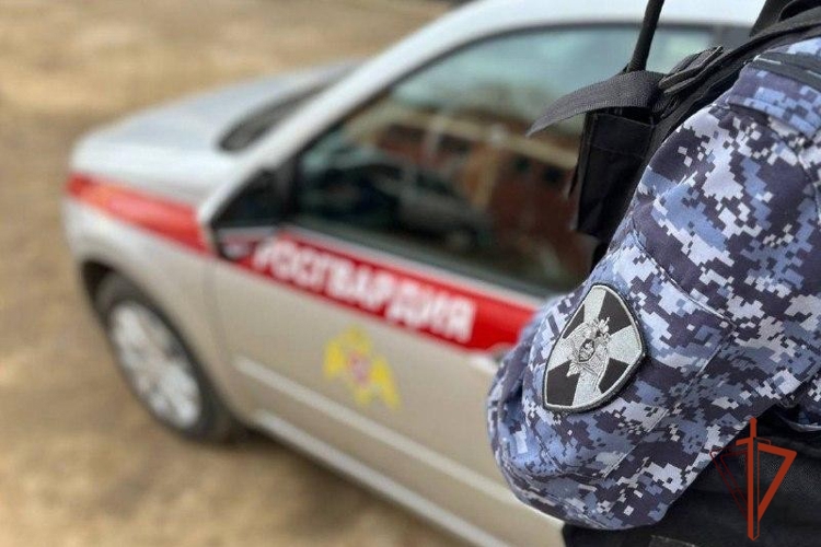 Экипажем Росгвардии задержан новосибирец, совершивший кражу парфюма