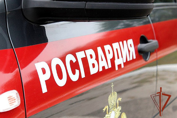 Экипаж вневедомственной охраны Росгвардии задержал подозреваемого в краже 