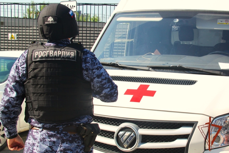 Сотрудники вневедомственной охраны Росгвардии оказали помощь пострадавшей в дорожном происшествии
