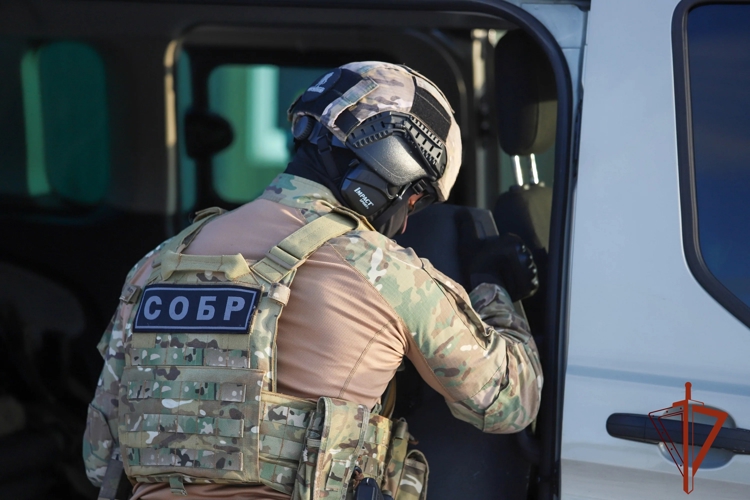 Сотрудники СОБР Росгвардии обеспечили силовое сопровождение при проведении обысков в рамках расследования серии мошенничеств