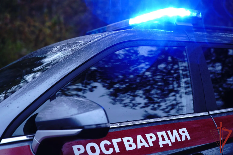 Патруль вневедомственной охраны Росгвардии задержал зачинщиков уличной драки