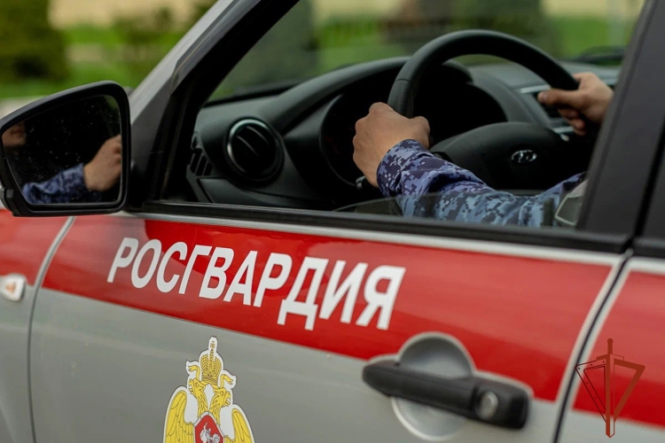 Патруль вневедомственной охраны Росгвардии задержал подозреваемую в краже сумки