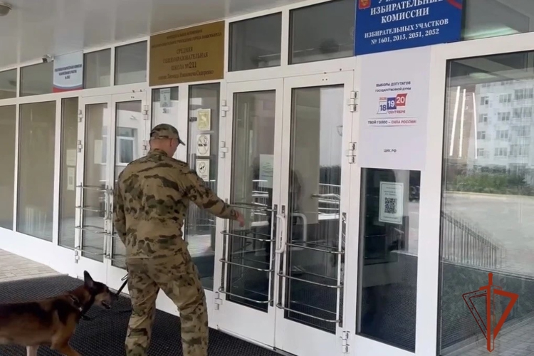 В Новосибирской области кинологи Росгвардии обследовали избирательные участки