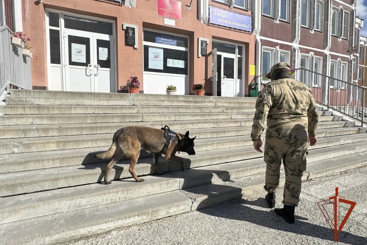 Росгвардия обеспечила безопасность школьных линеек в Новосибирской области 