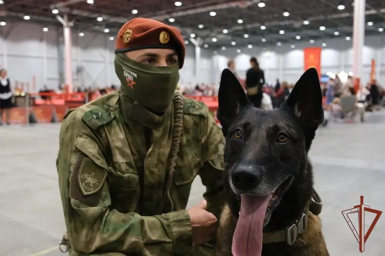 Кинологи Сибирского округа Росгвардии продемонстрировали мастерство на выставке «Лучшие собаки России»