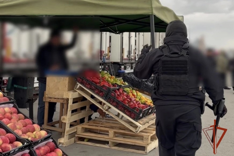 В Новосибирской области при участии Росгвардии проходят рейды по выявлению нарушений в сфере миграции «Нелегал-2026» 