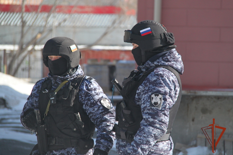 Экипаж вневедомственной охраны Росгвардии задержал любителя бесплатного шоколада
