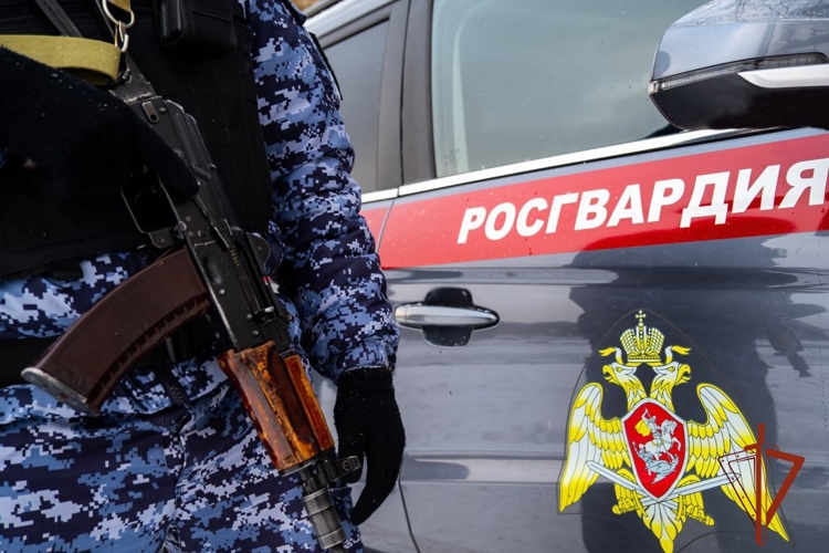 Сотрудниками вневедомственной охраны Росгвардии за повреждение чужого имущества задержаны двое граждан
